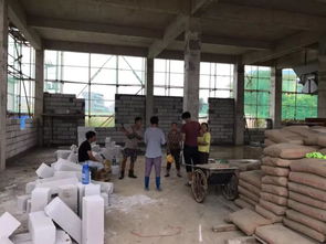 园洲镇环境综合整治日报（8月27日）——高压风机专项治理显成效